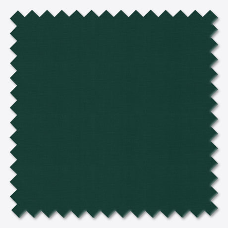 Free Sample