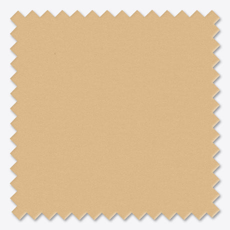 Free Sample