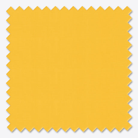 Free Sample